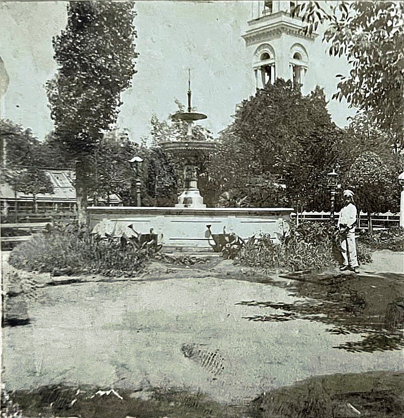 Сад липки саратов сад липки фото