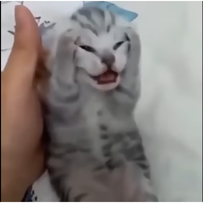 Чисто рандомный чел, который решил купить себе квартиру и решил узнать ипотеки.