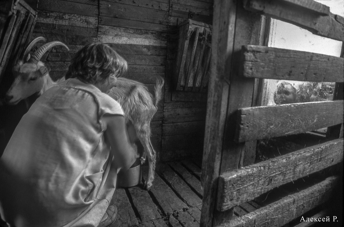 Canon EOS 1; EF 20-35/2,8L; Kodak Ektachrome 400; вспышка -2,0 