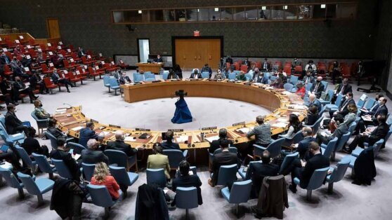    Совбез ООН рассмотрит вопрос о вступлении Палестины во всемирную организацию Егор Гордеев