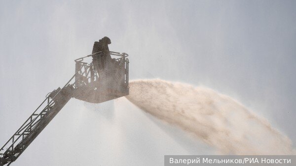     Фото: Валерий Мельников/РИА Новости   
 Текст: Вера Басилая