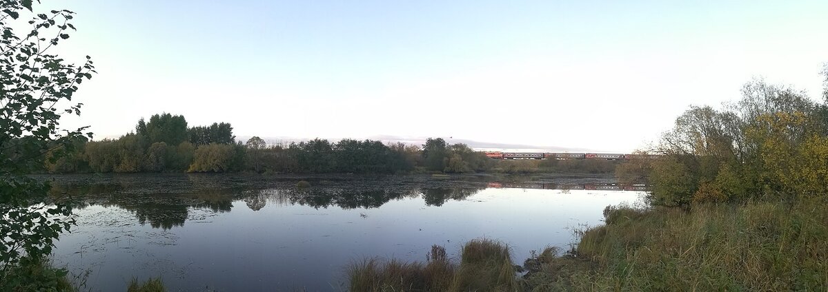 Автор: Borealex Источник: https://commons.m.wikimedia.org/w/index.php?go=Go&search=%D0%90%D1%80%D1%85%D0%B0%D0%BD%D0%B3%D0%B5%D0%BB%D1%8C%D1%81%D0%BA&title=Special:MediaSearch&type=image