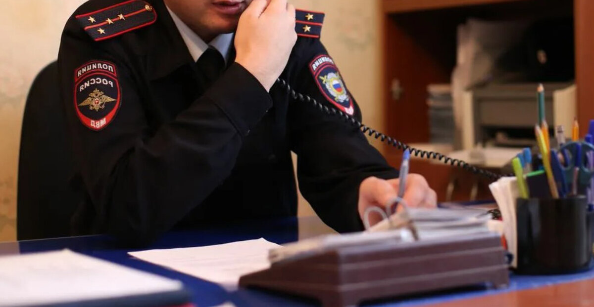 Цифры, показатели, отчёты...