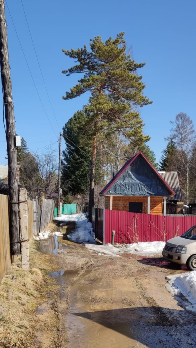 Фото дачных соседей. Мой любимый дачный тупик