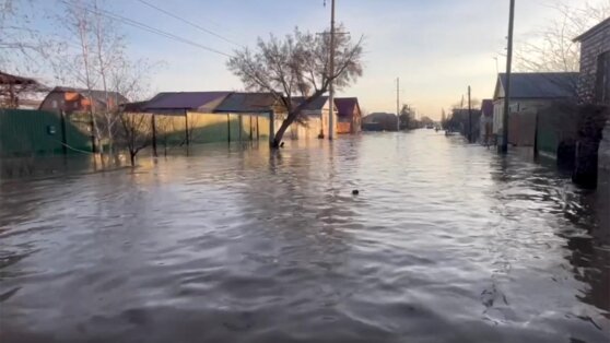    Путин поручил Куренкову вылететь в Оренбургскую область Егор Гордеев