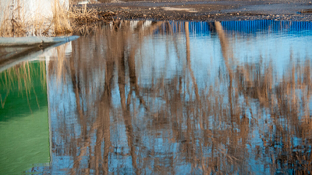    Фото: Svetlana Vozmilova/Globallookpress