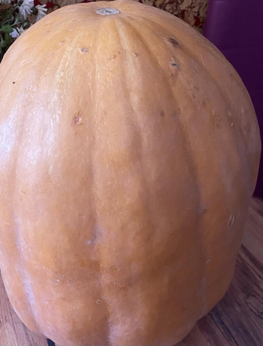 Тыква, которая долежала до апреля месяца