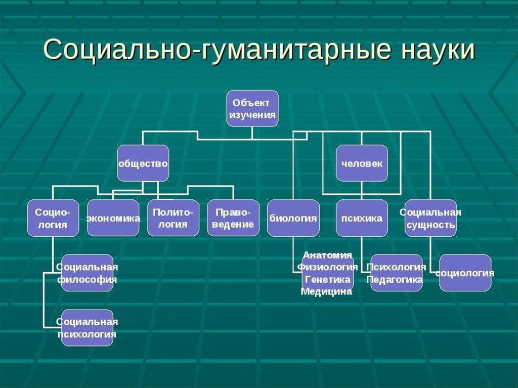 Наука — область человеческой деятельности, направленная на выработку и систематизацию объективных знаний о действительности. Науки делят на естественные, точные и социально-гуманитарные. Естественные науки — это науки о природе, точные науки — науки, основанные на математике, а социально-гуманитарные науки —  науки об обществе и месте человека в нём.
