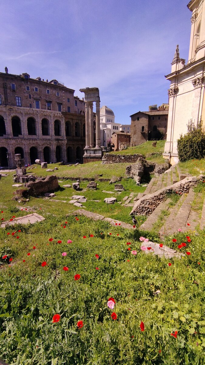 Рим, театр Марцелла. Фото автора 