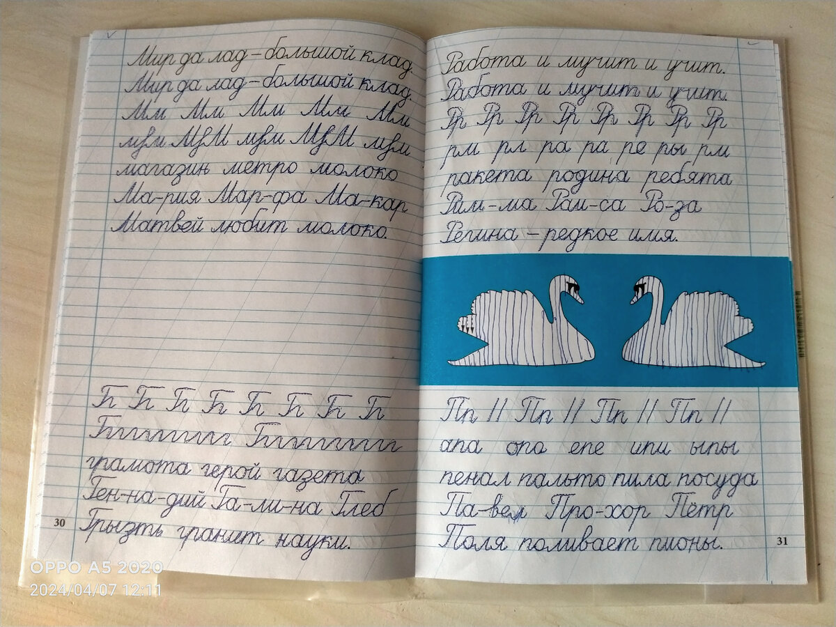 Тренажёр по чистописанию. Послебукварный период.