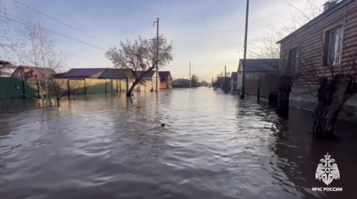 картинка взята из открытых источников интернета