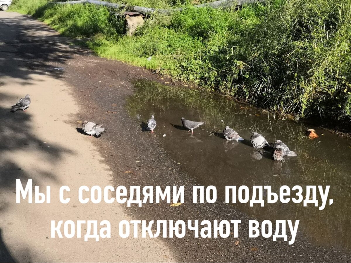 -14