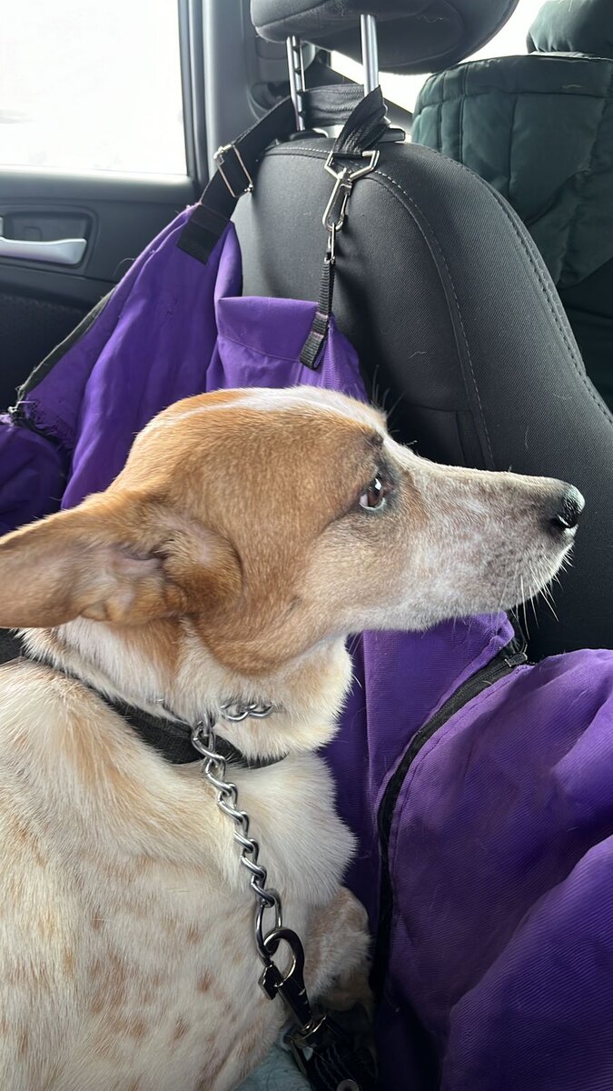 Тогда она была рада, что её поймали