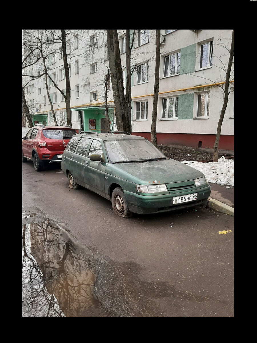 Как автохамы разбрасывают везде свой хлам. Автохлам. | Андрей Юрьевич  official | Дзен