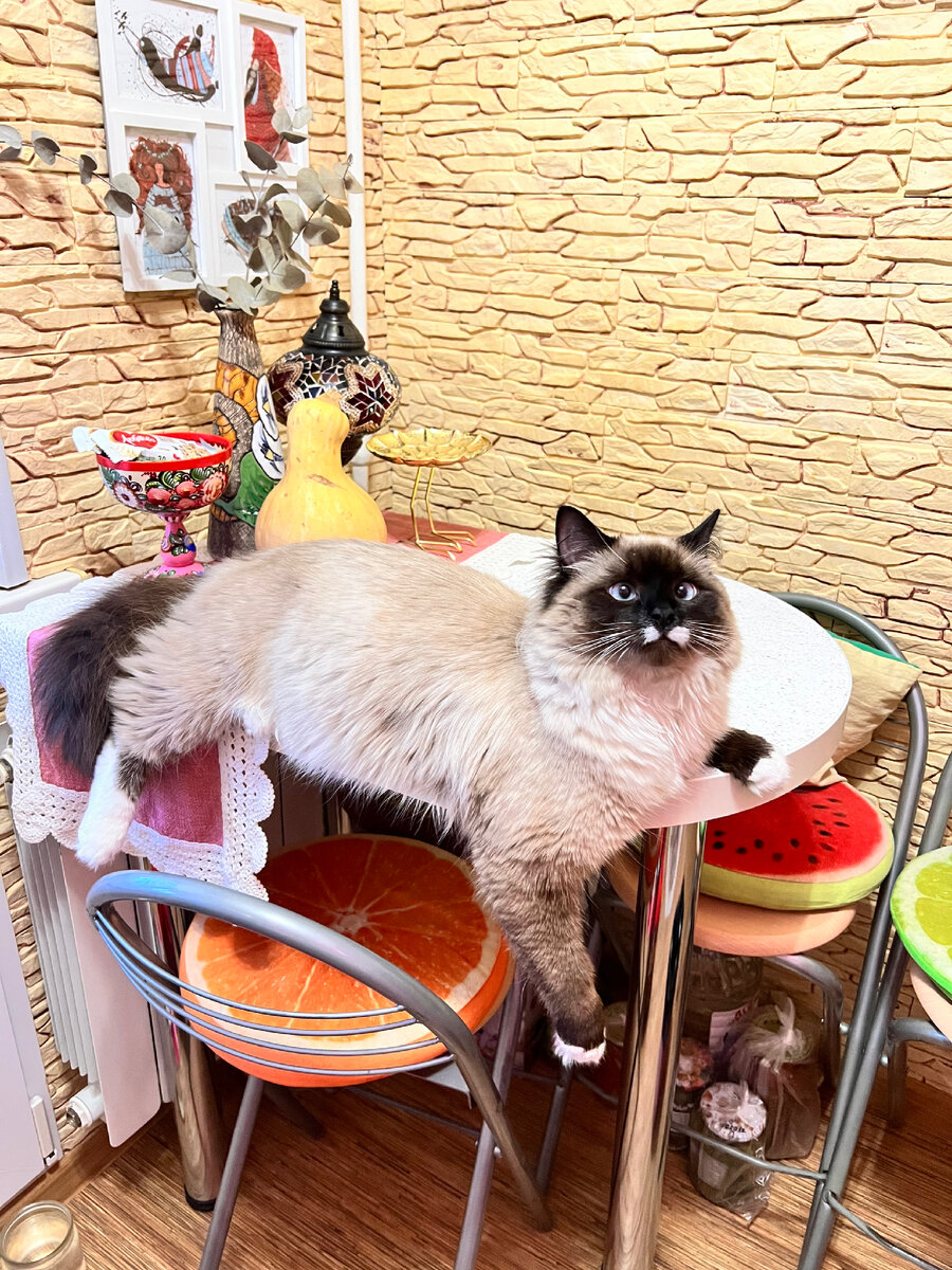 На чиле, на расслабоне 