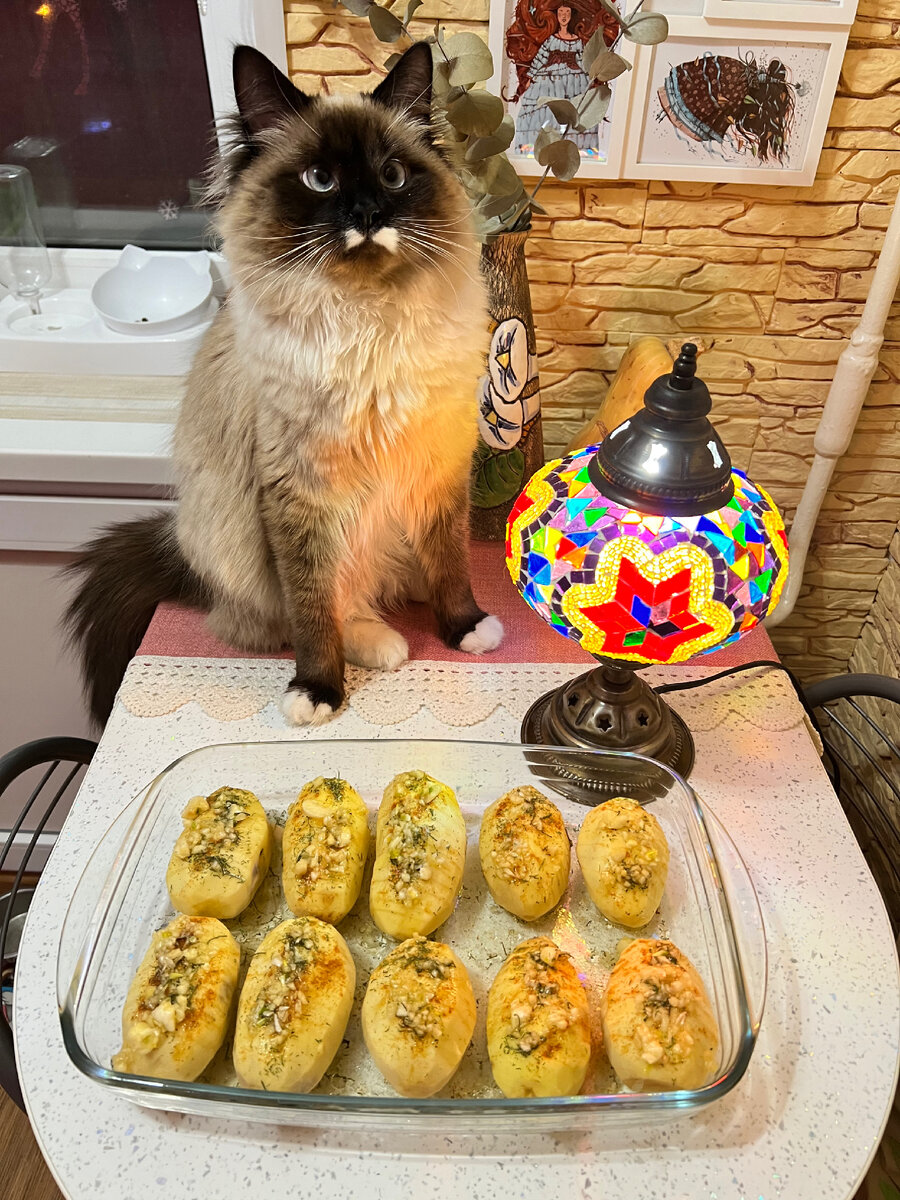 Первый помогатор