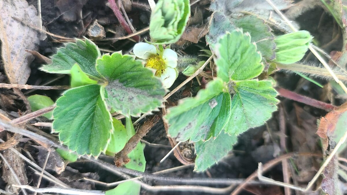 Фотография автора. 