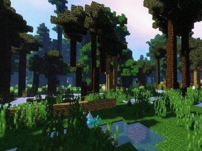    Кубические деревья. В сети появились фото со съёмок экранизации Minecraft