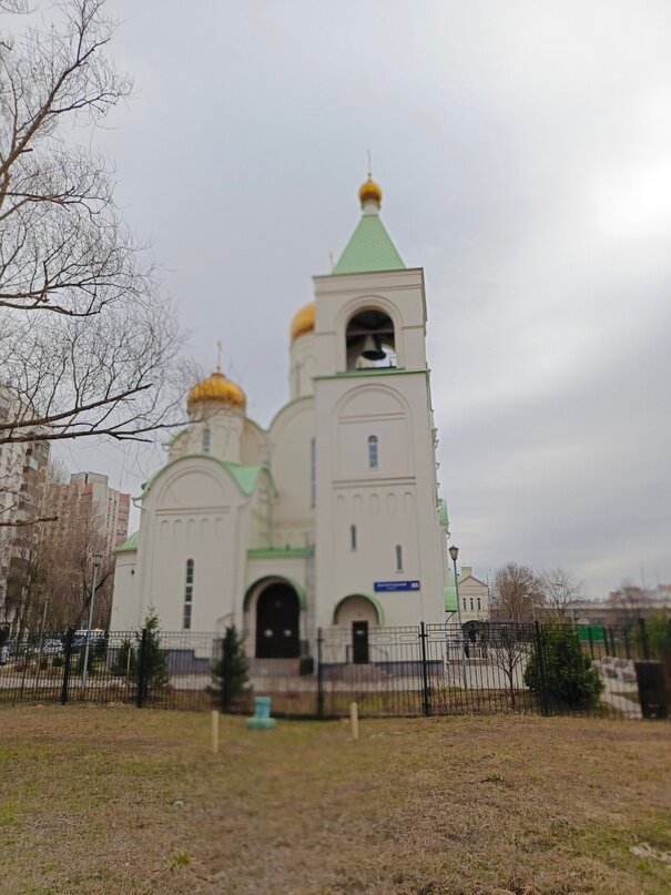 Фото сделано автором 6 апреля 2024 года