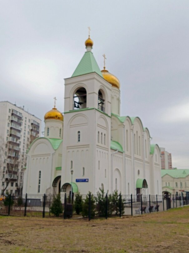 Фото сделано автором 6 апреля 2024 года