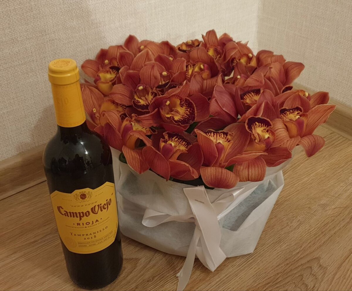 Campo Viejo Rioja