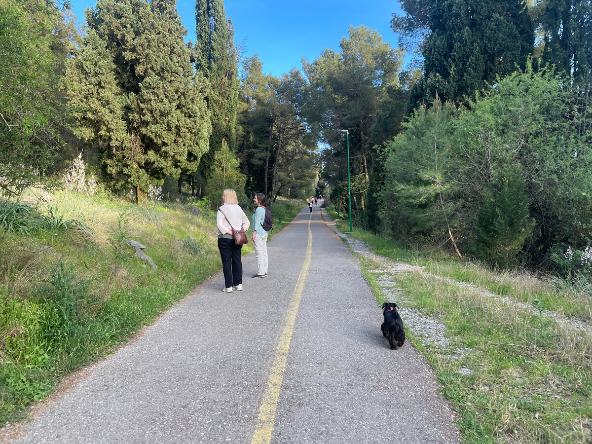 Дамочки, подвинтесь:)