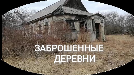Заброшенные деревни Псковской области. Люди покинули свои дома. Время тут остановилось, всё зарастает.