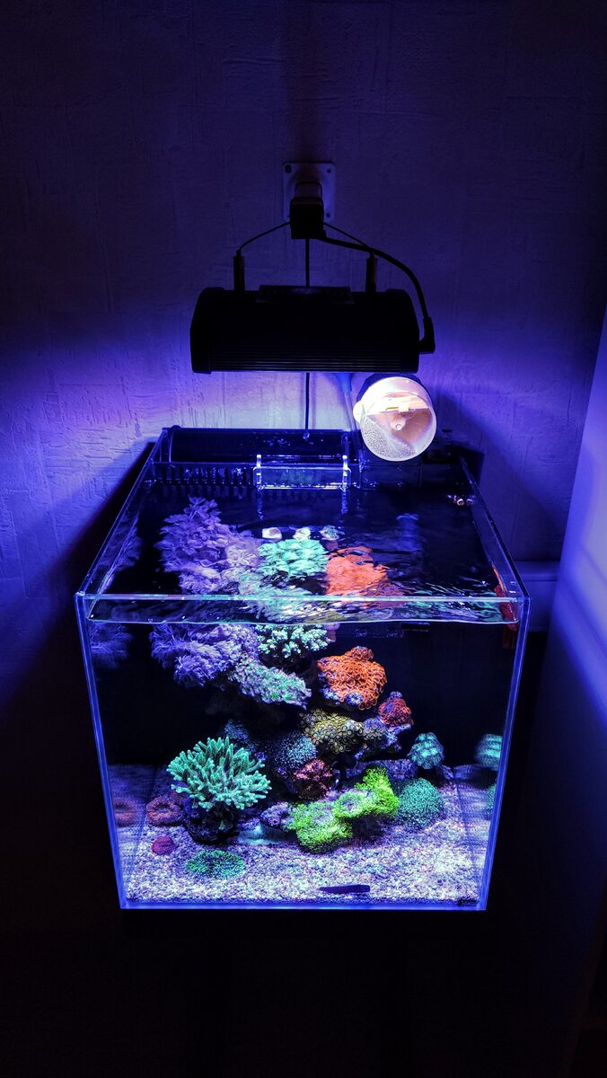 Мой морской аквариум. Объем 50л