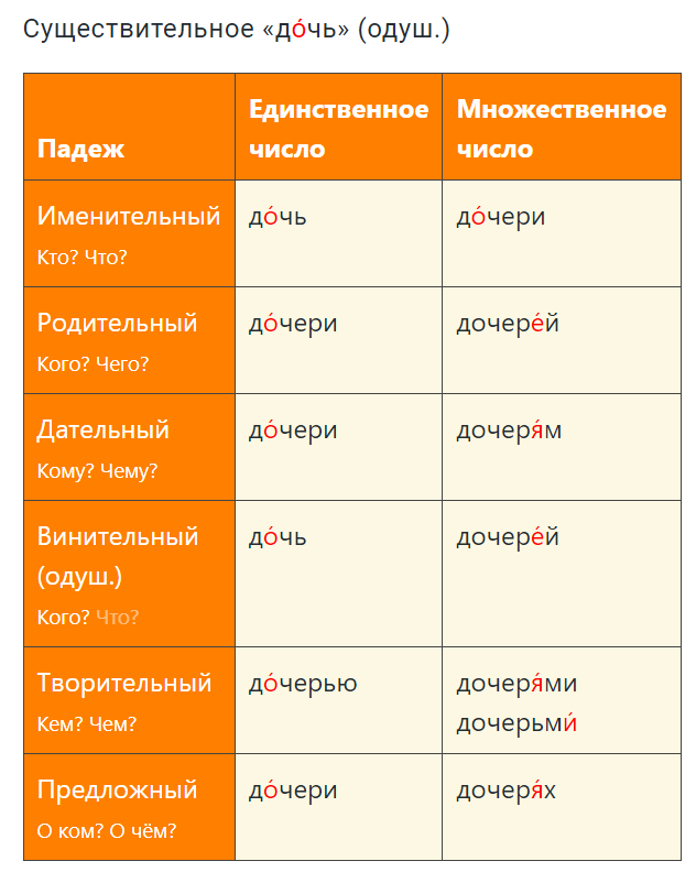 Падежи. Шорты в родительном падеже множественного числа. Табель множественное число. Шорты склонение.