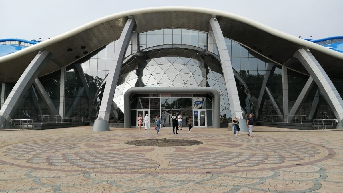     Ребёнок свалился со второго этажа кафетерия в Океанариуме на острове Русский во Владивостоке. Он провалился между перекрытиями и ударился о металлическую лавку.