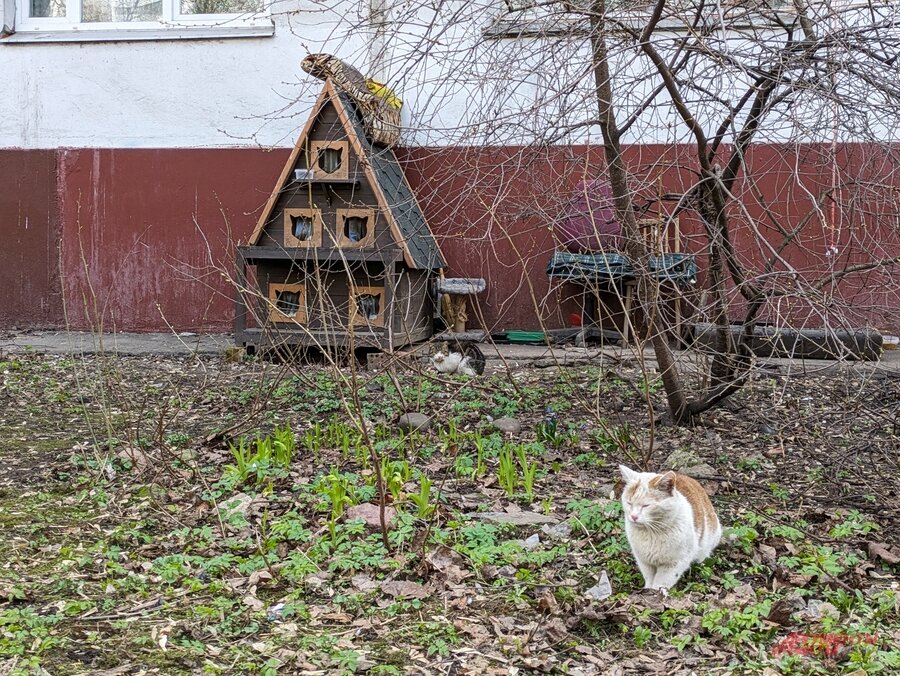    Фото:  АиФ/ Елена Краснова