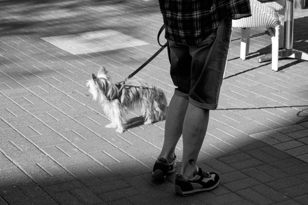 Современный культ безопасности инфантилизирует людей