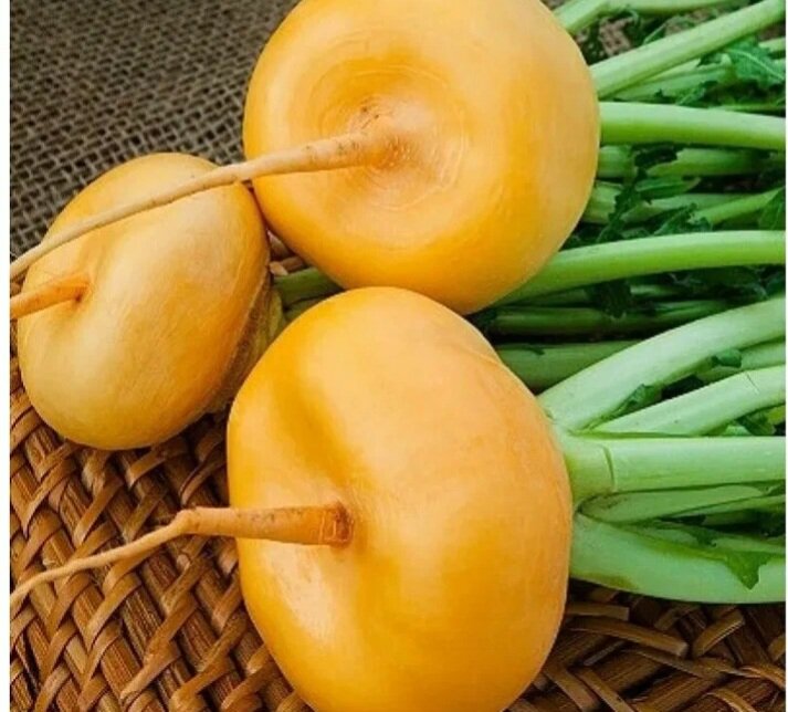 О пользе репы | Все просто | Дзен