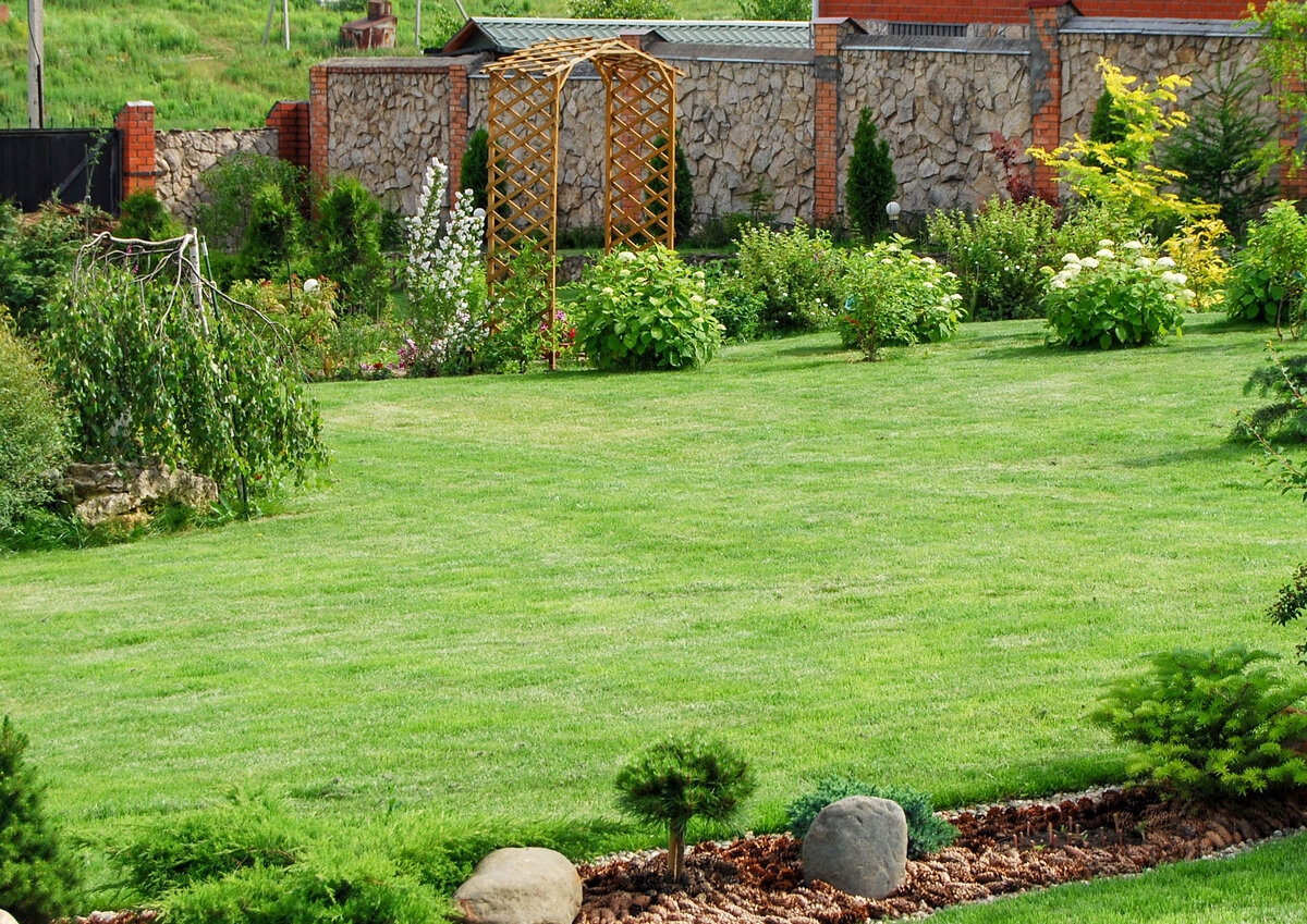 Зеленый ковер