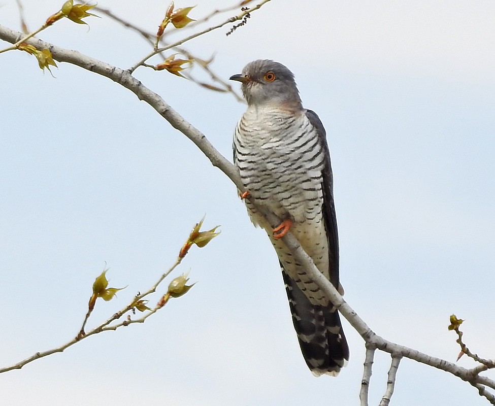 фото из Сети