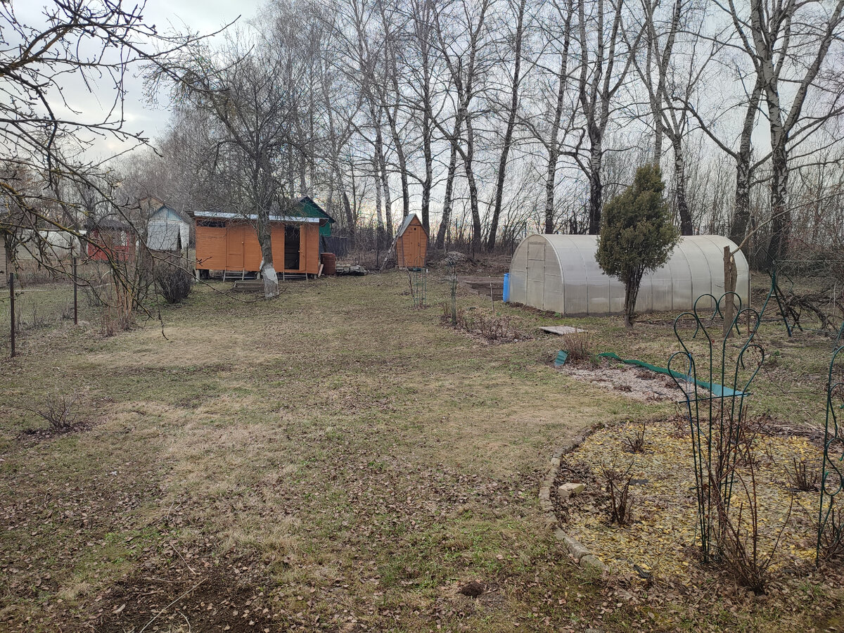 Тут считайте, что листвы совсем нет, по сравнению с тем, что было. 