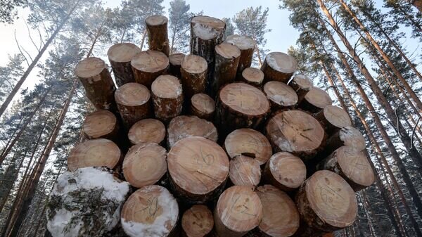    © Sputnik / Александр Кряжев