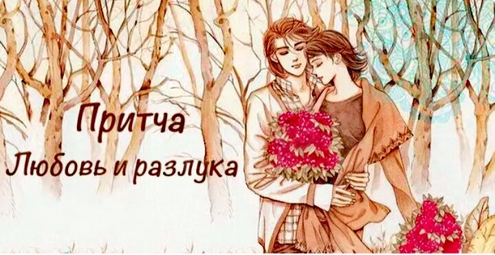 Фото с просторов интернета. 