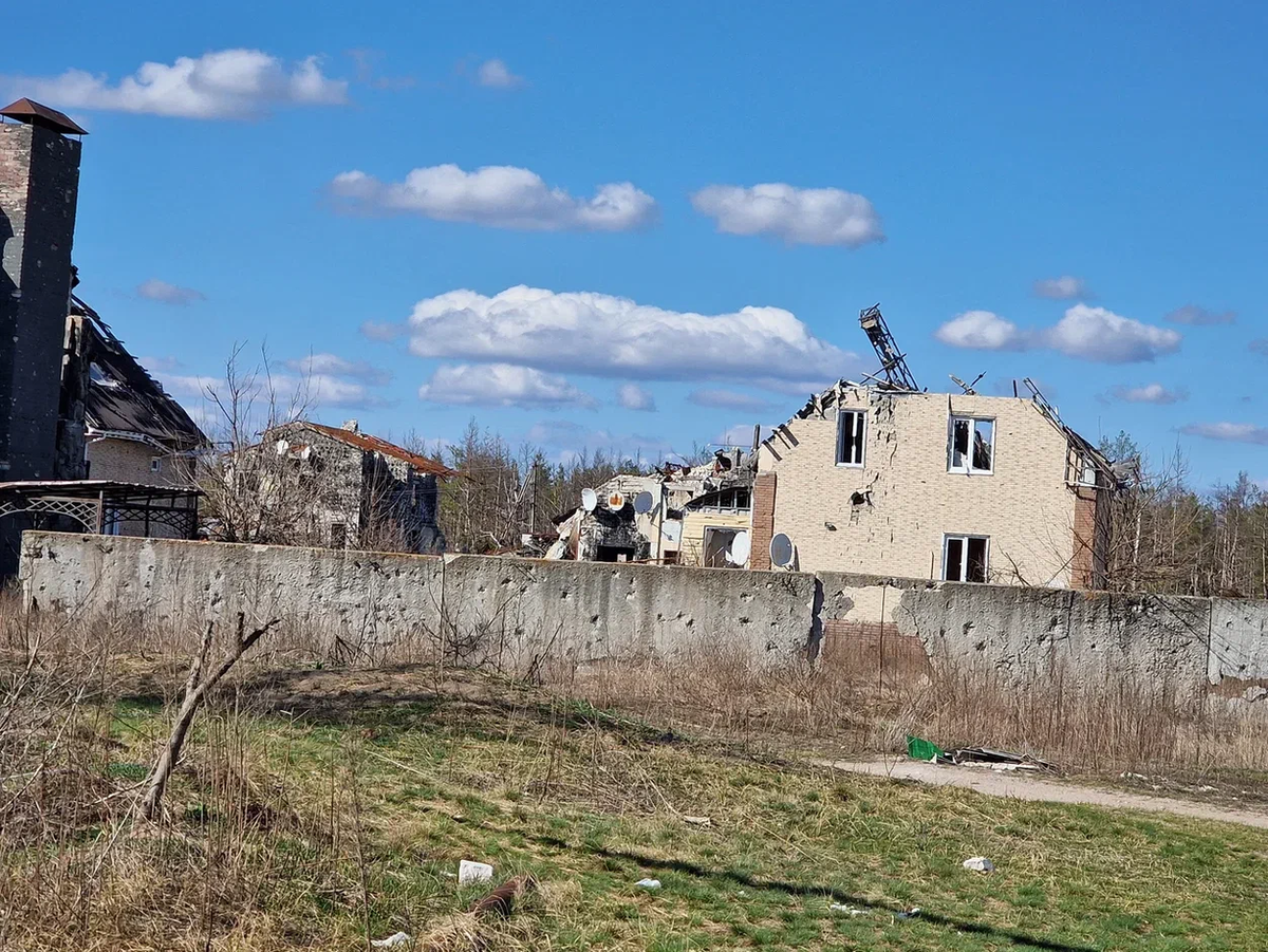 Посёлок почти полностью был сожжён и разрушен. Но в нём сохранилась жизнь |  КОТО🐈БЛОГ | Дзен