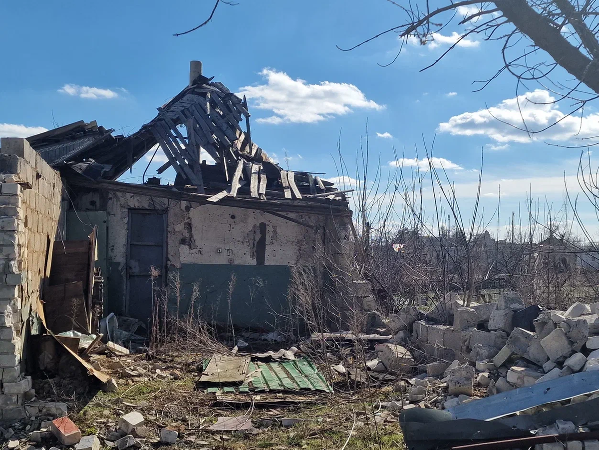 Посёлок почти полностью был сожжён и разрушен. Но в нём сохранилась жизнь |  КОТО🐈БЛОГ | Дзен