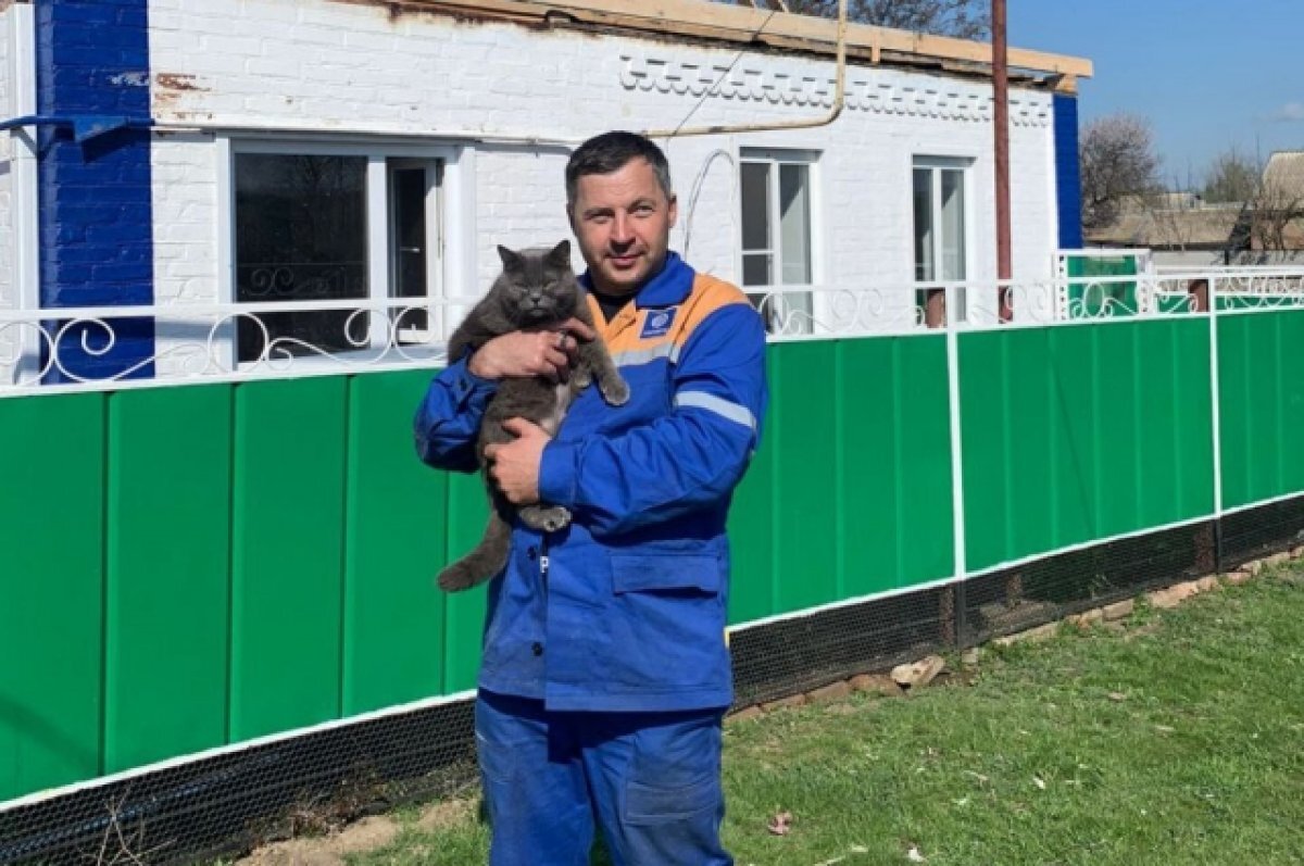    Кошка Марфа из Ростовской области спасла хозяев от гибели