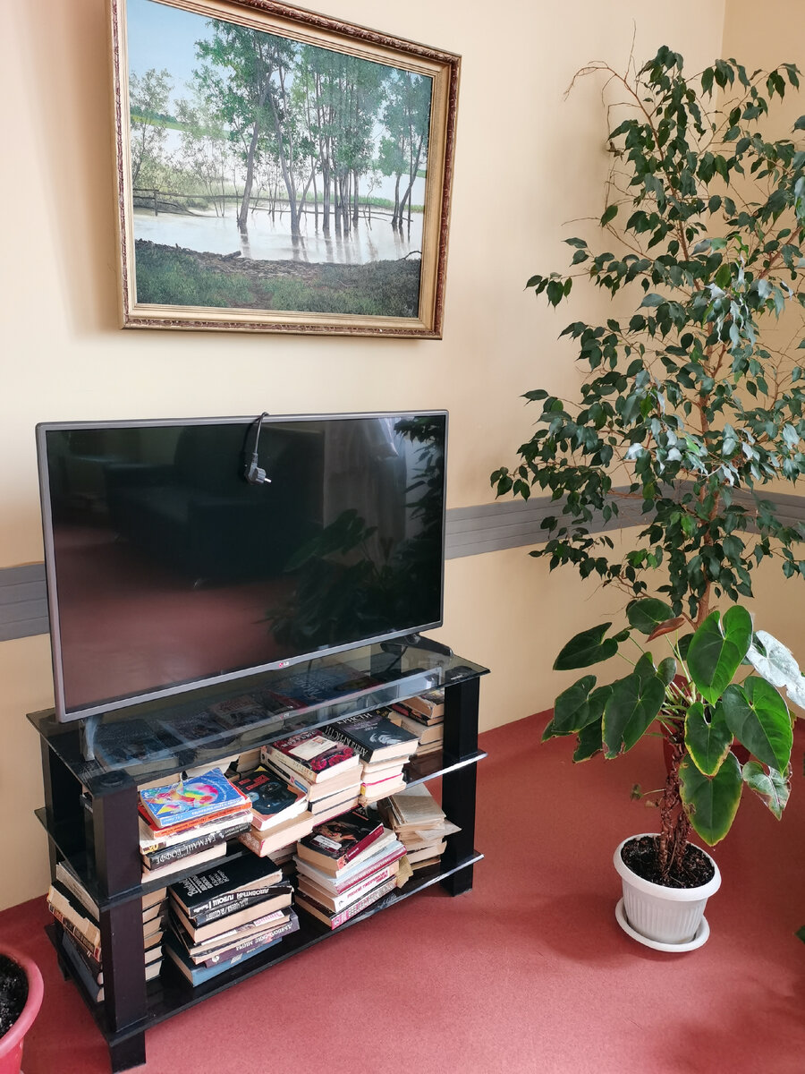 Здесь очень много книг, читаю уже вторую