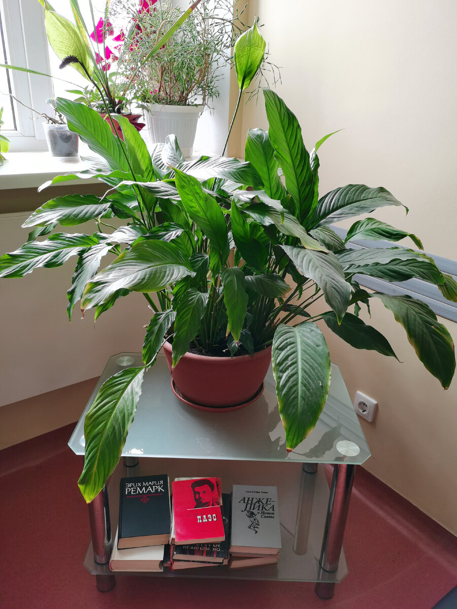 В коридоре отделения