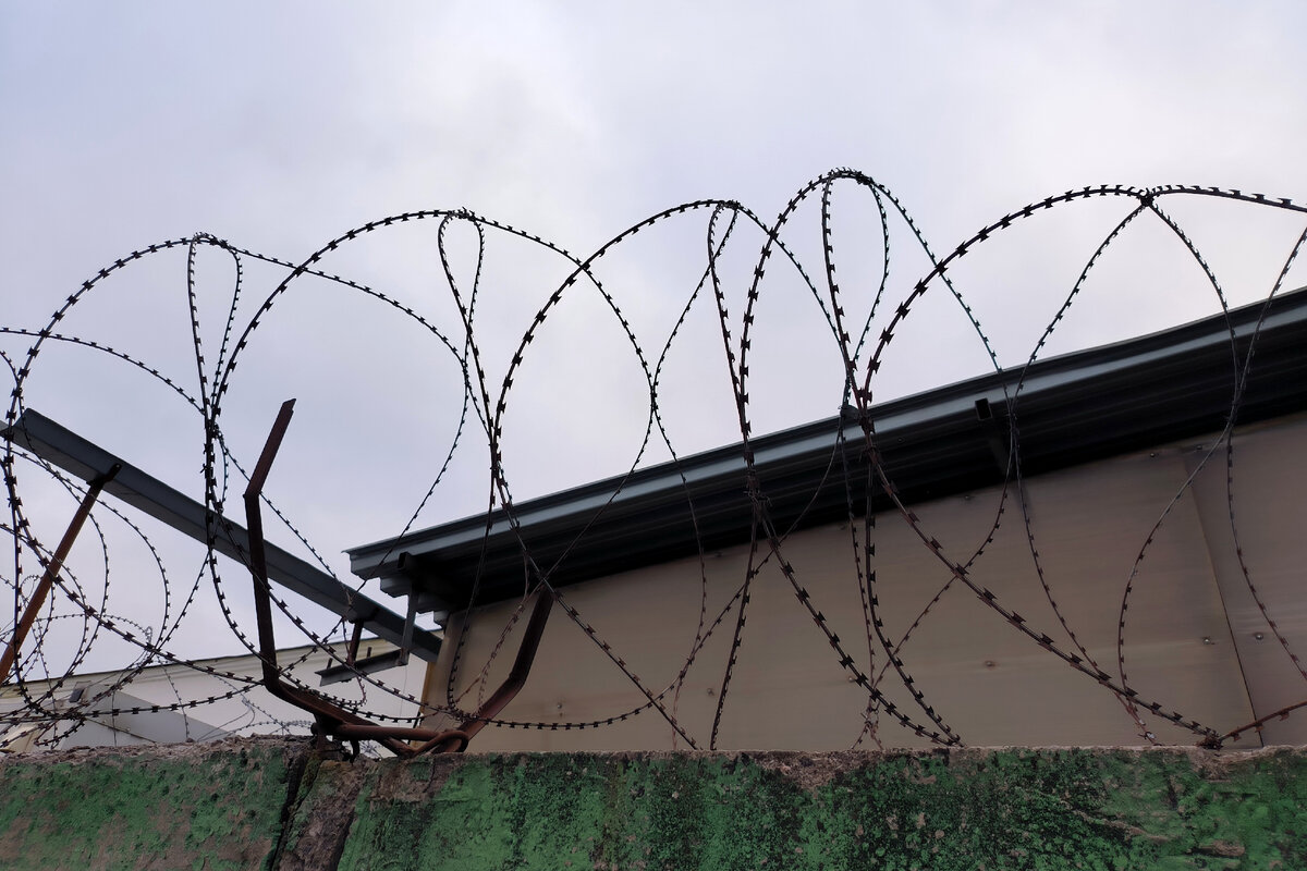 Фото: Maksim Konstantinov/Global Look Press