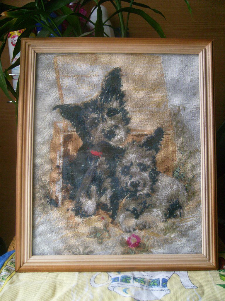 Многострадальные собаки от "Домашней коллекции"