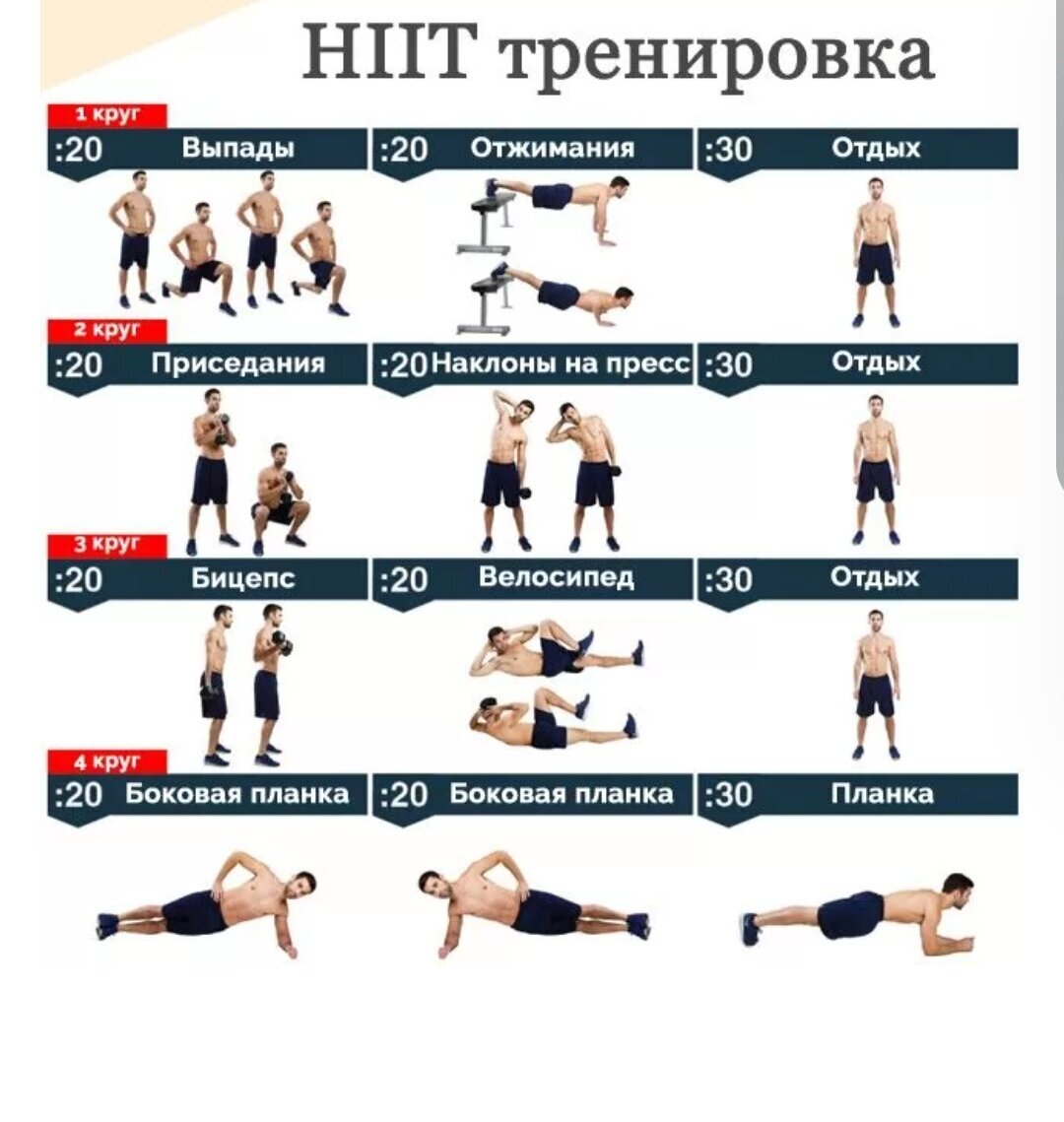 Круговая тренировка в зале без инвентаря