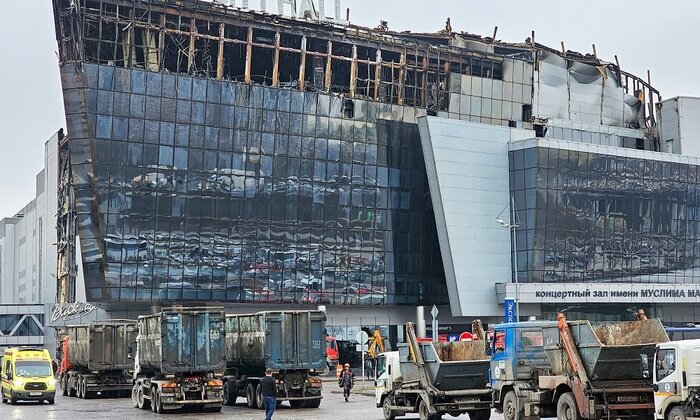 Крокус после. Фото из открытых источников