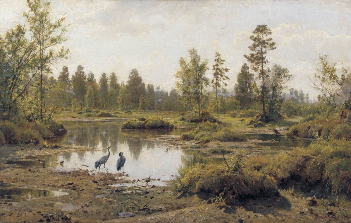Беловежская пуща