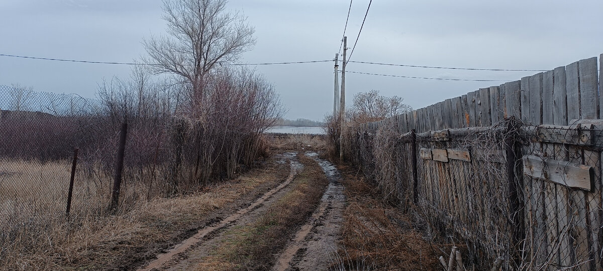 Фото автора. Наша дача справа