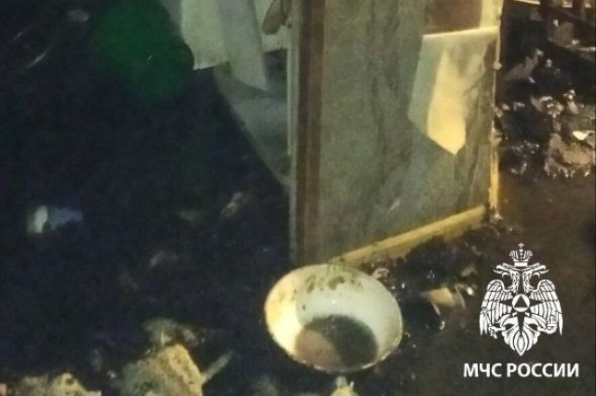    При пожаре в квартире дома по улице Рябикова в Ульяновске погиб пенсионер